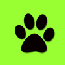 Click on pawprint to read student
         	testimonials