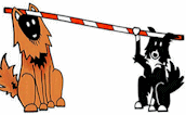smaller version of Raining the Bar Dog Training business logo